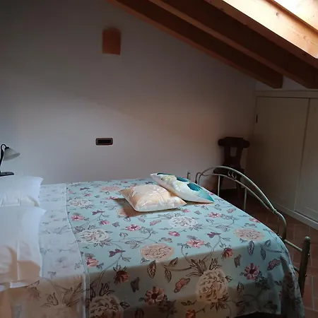 La Collina Dei Ciliegi