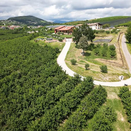 La Collina Dei Ciliegi *